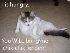 kittendamned01 kittendamned01