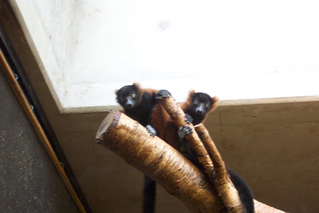 babiestogether babiestogether