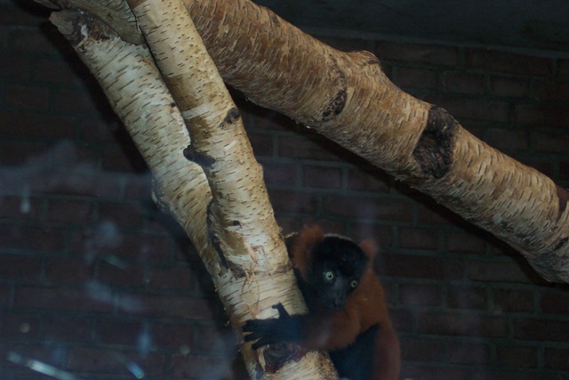 babychilling babychilling