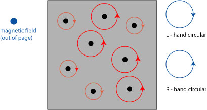 circularinmattermagnet