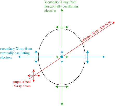 secondarypolarization