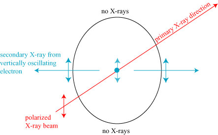 secondarypolarization2