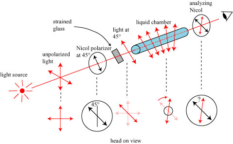 rayleighsetup rayleighsetup