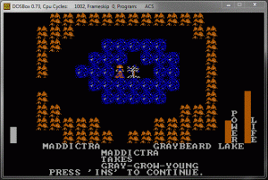 The player acquires the plant grey-grow-young, the key to immortality, in Rivers of Light.  Image via CRPG Addict.