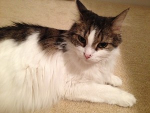 "I wouldn't try it."