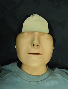 "Resusci Anne," via Wikipedia.