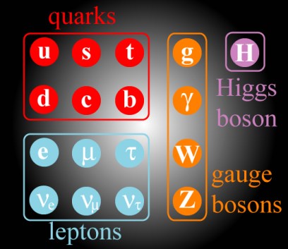 The standard model of particle physics, showing all fundamental particles (but not their antiparticles).
