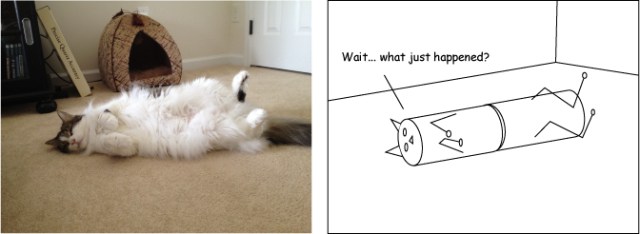catcylinder