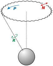 Illustration of precession and nutation of a spinning body.  The blue "P" indicates the precession motion, the red "N" indicates the nutation motion, and the green "R" indicates the axis of rotation. Via Wikipedia.