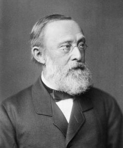 Rudolf Virchow, via Wikipedia.