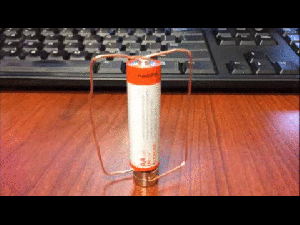 A simple homopolar motor.
