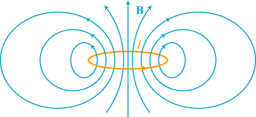The field of a magnetic dipole.