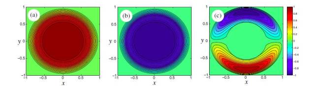 The source structure of a null field source. (a) the x-component of polarization, (b), the y-component of magnetization, and (c) the z-component of magnetization.  After our Opt. Lett. paper.