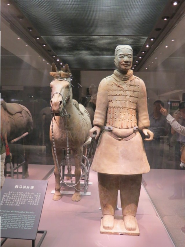 Cavalryman and horse.