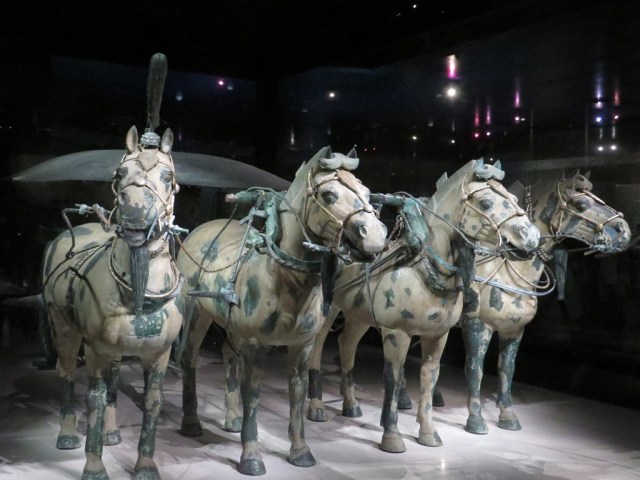 Second chariot horses.