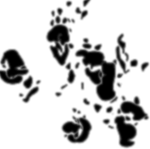 Signature of F.D.C. Willard, via WIkipedia.