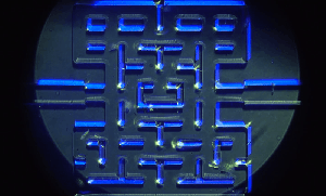 Gif via the Kotaku article!