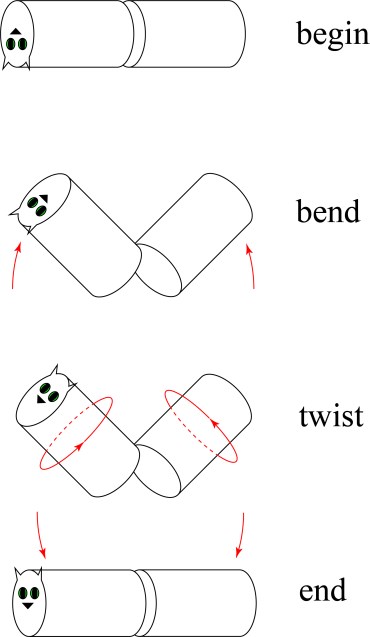 Illustration of "bend and twist"